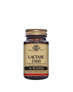 Solgar Lactase 3500 Pastilhas Digestão 30un.