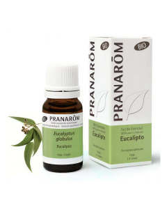 Pranarom Óleo Essencial Eucalipto Globulus 10ml