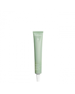 Caudalie Vinopure Stop Borbulhas Ácido Salicílico 15ml