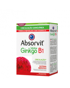 Absorvit Ginkgo B1 Comprimidos 60un