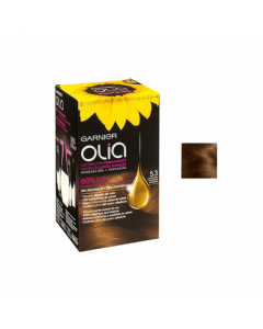 Garnier Olia Pack Coloração Permanente 5.3 Castanho Dourado 1un.